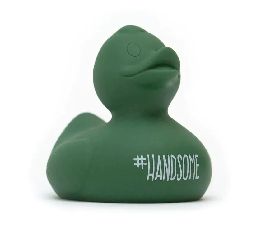 Handsome Wonder Duck